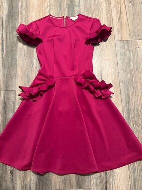 Ted Baker Hot Pink Ruffle Fit-and-Flare Dress